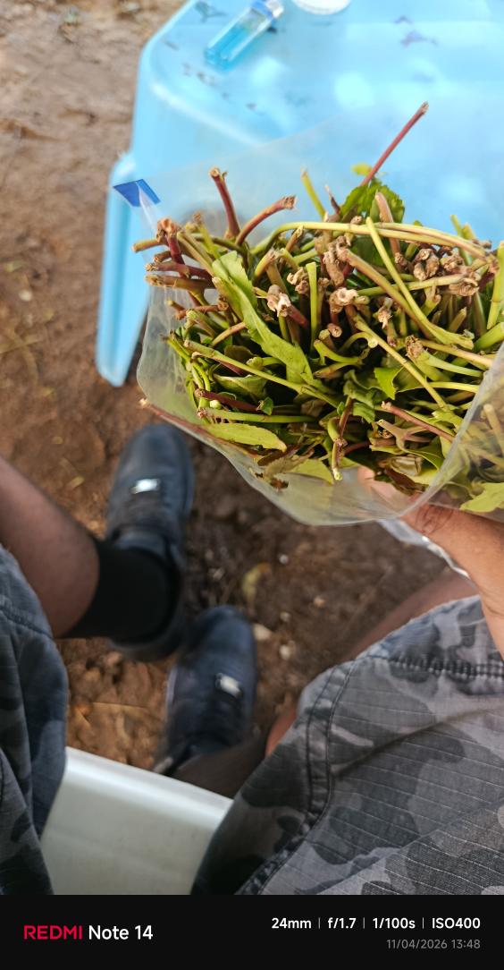 MMUST g𝐫Δ𝐝uΔte ™✟ tweet media