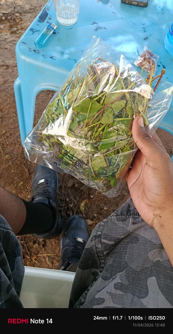 MMUST g𝐫Δ𝐝uΔte ™✟ tweet media