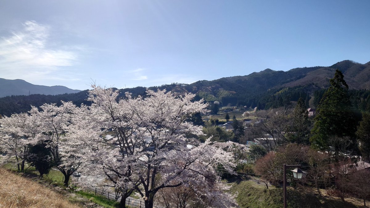 TAKOYAKI tweet media