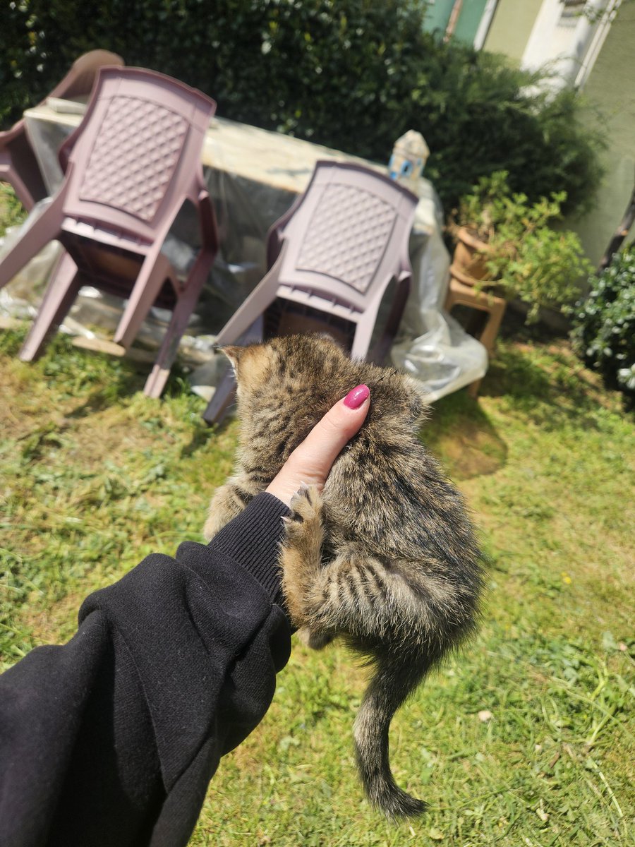 Yasemin, Uysal & Gülizar tweet media