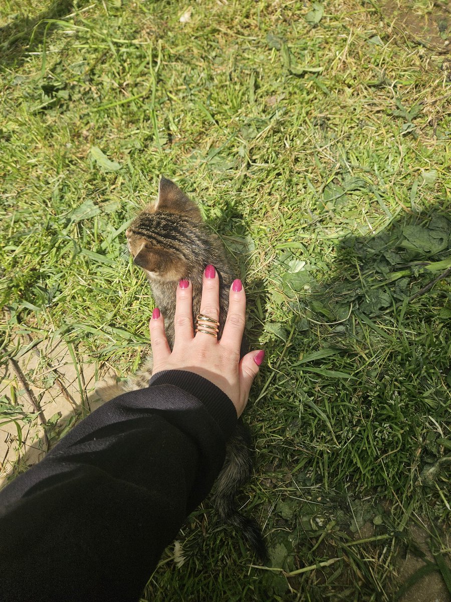 Yasemin, Uysal & Gülizar tweet media