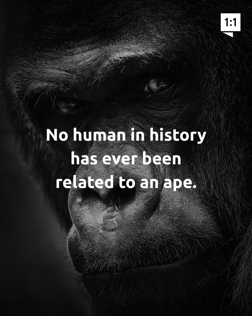 Answers in Genesis tweet media