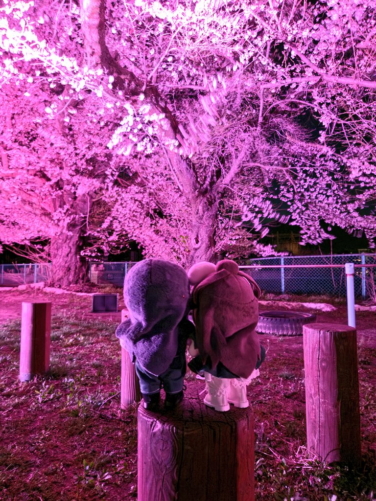 kobamama tweet media