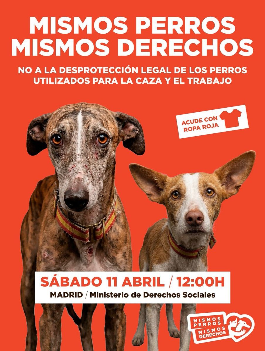 urgevivirjudith's tweet photo. Cuando una ley deja fuera a los más vulnerables, no es una solución, es parte del problema.
@pbustinduy #mismosperrosmismosderechos @MSocialGob @gobmapa https://t.co/WqOOa3RBdp
