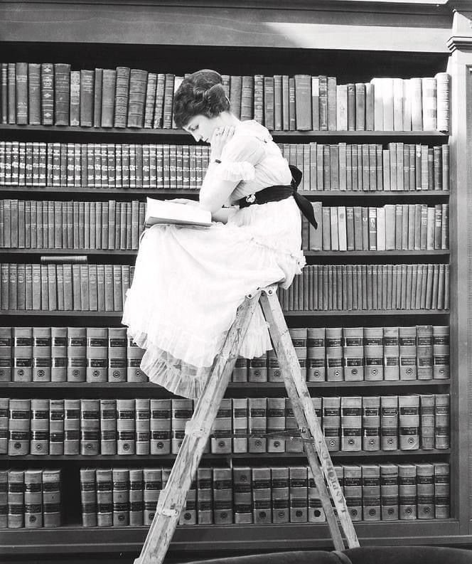 Nicoletta Corradini tweet media