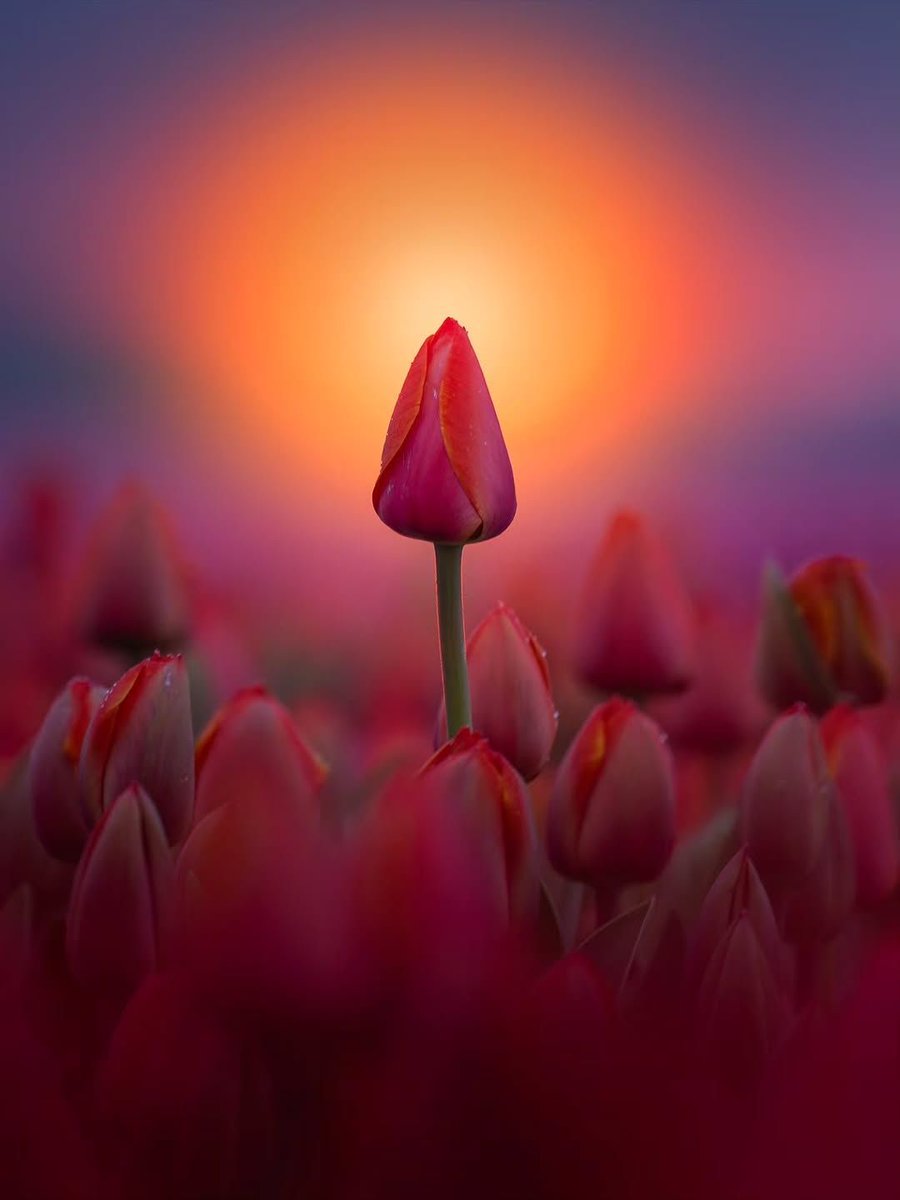 Ramblings tweet media