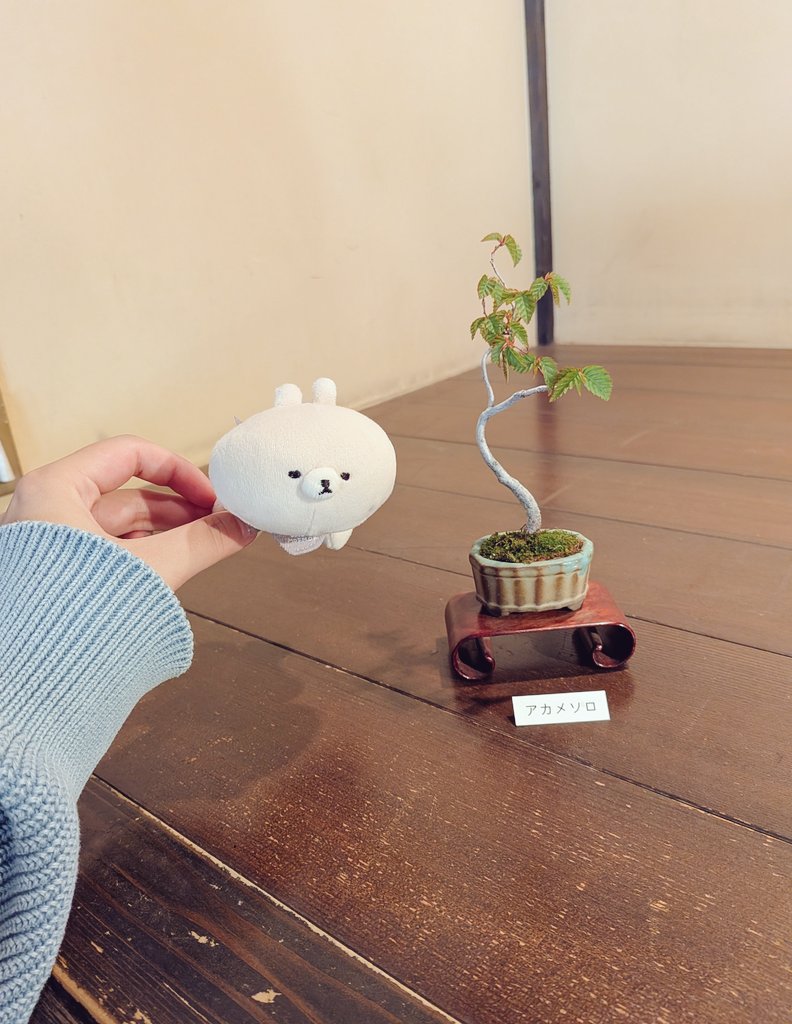 もかのもの tweet media