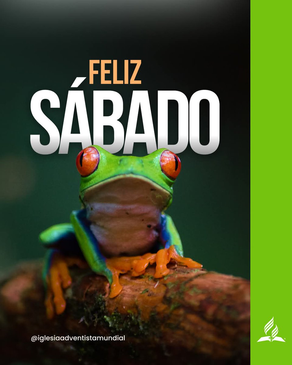 Que hoy puedas detenerte, respirar hondo y disfrutar la compañía de Dios, dejando que Su paz llene tu corazón con descanso y esperanza. 🙏✨