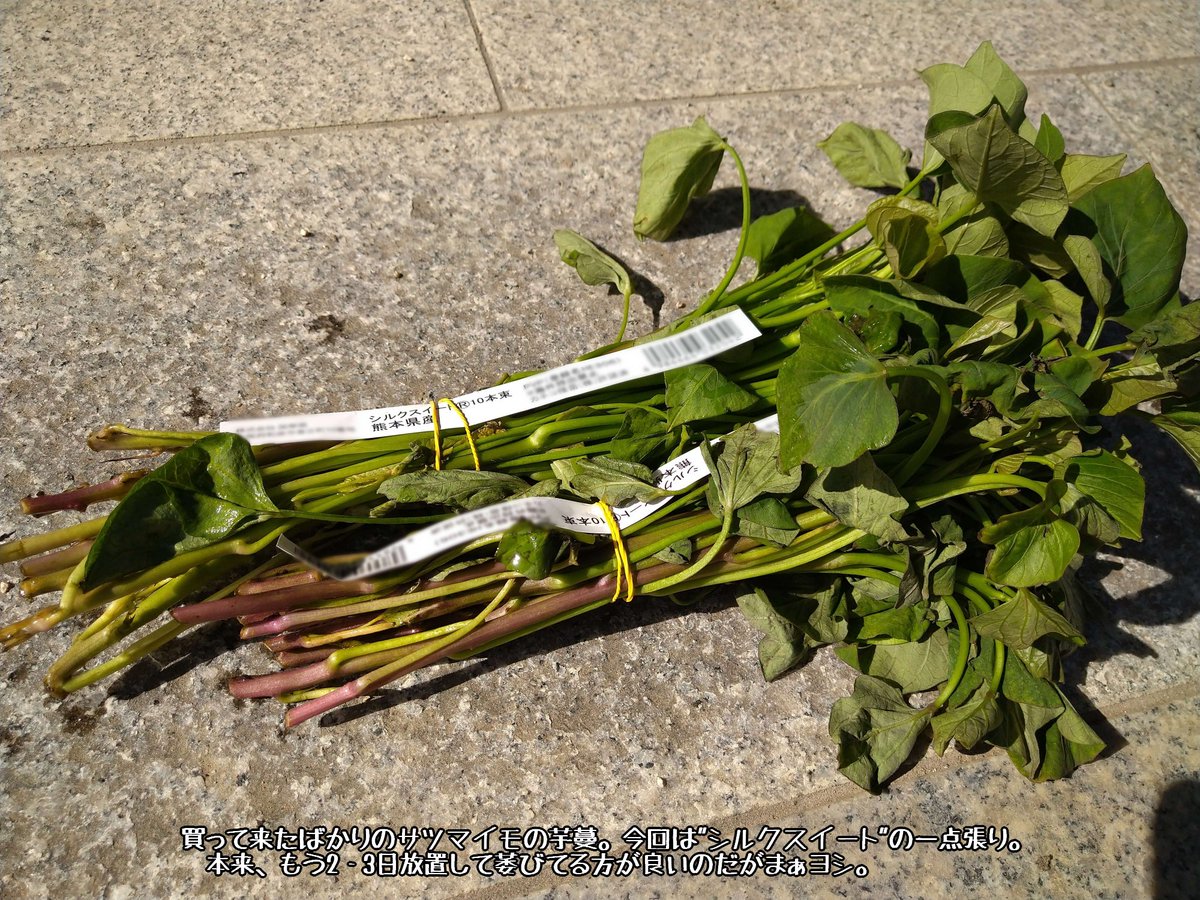 IkuS@FF14:雑煮処 tweet media