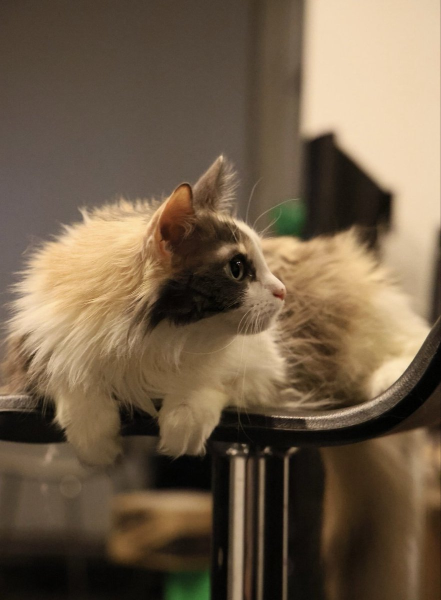 Воскресенская воскресает каждый день tweet media