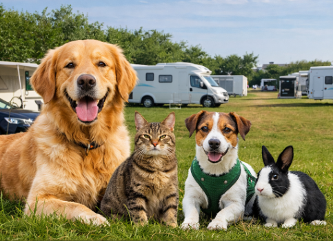 LVestkyst's tweet image. 🐾 Happy National Pet Day!
Did you know..
At Løkken Maritime Naturcamp &amp;amp; Vestkyst Camping, pets are always welcome – completely free 🐶🐱
Bring your best friend and enjoy the west coast 🌊🌿
#NationalPetDay #PetFriendly #CampingLife #WestCoast #Løkken #Denmark