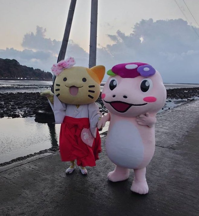 みっけちゃん™️【公式】💙💛🤟🏳️‍🌈大阪府枚方市PR大使 tweet media