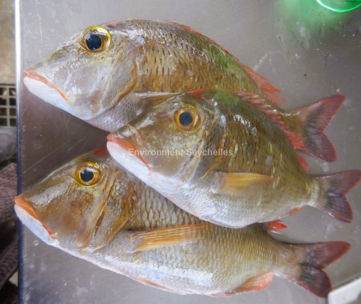 John Nevill tweet media