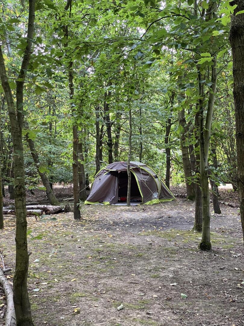 News Shopper tweet media