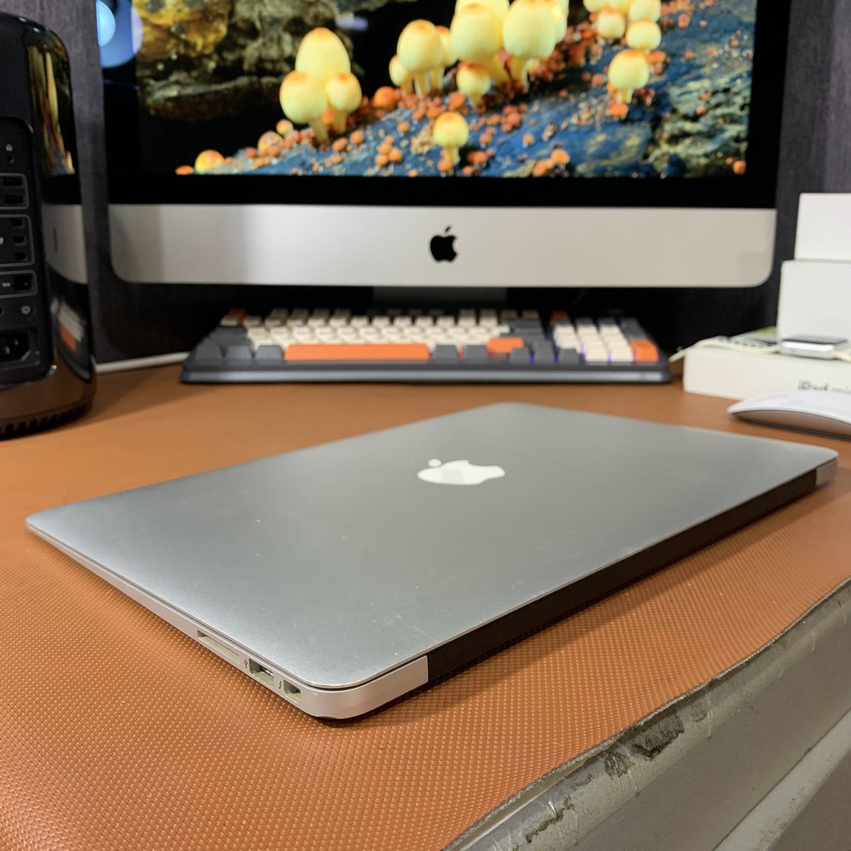 Apes Store ID tweet media