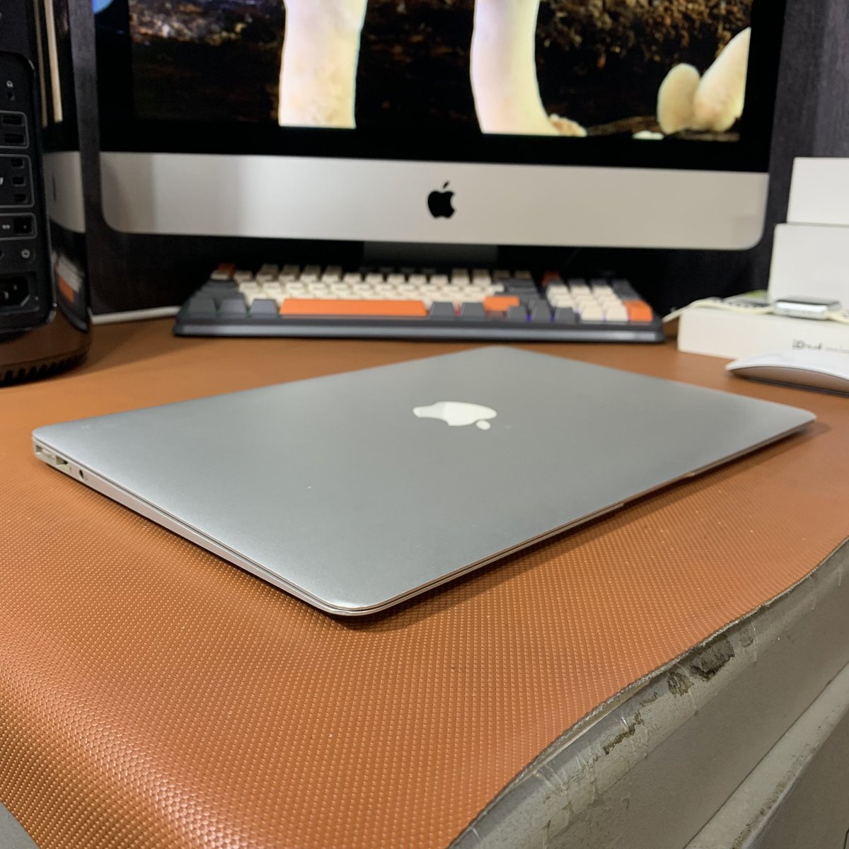 Apes Store ID tweet media