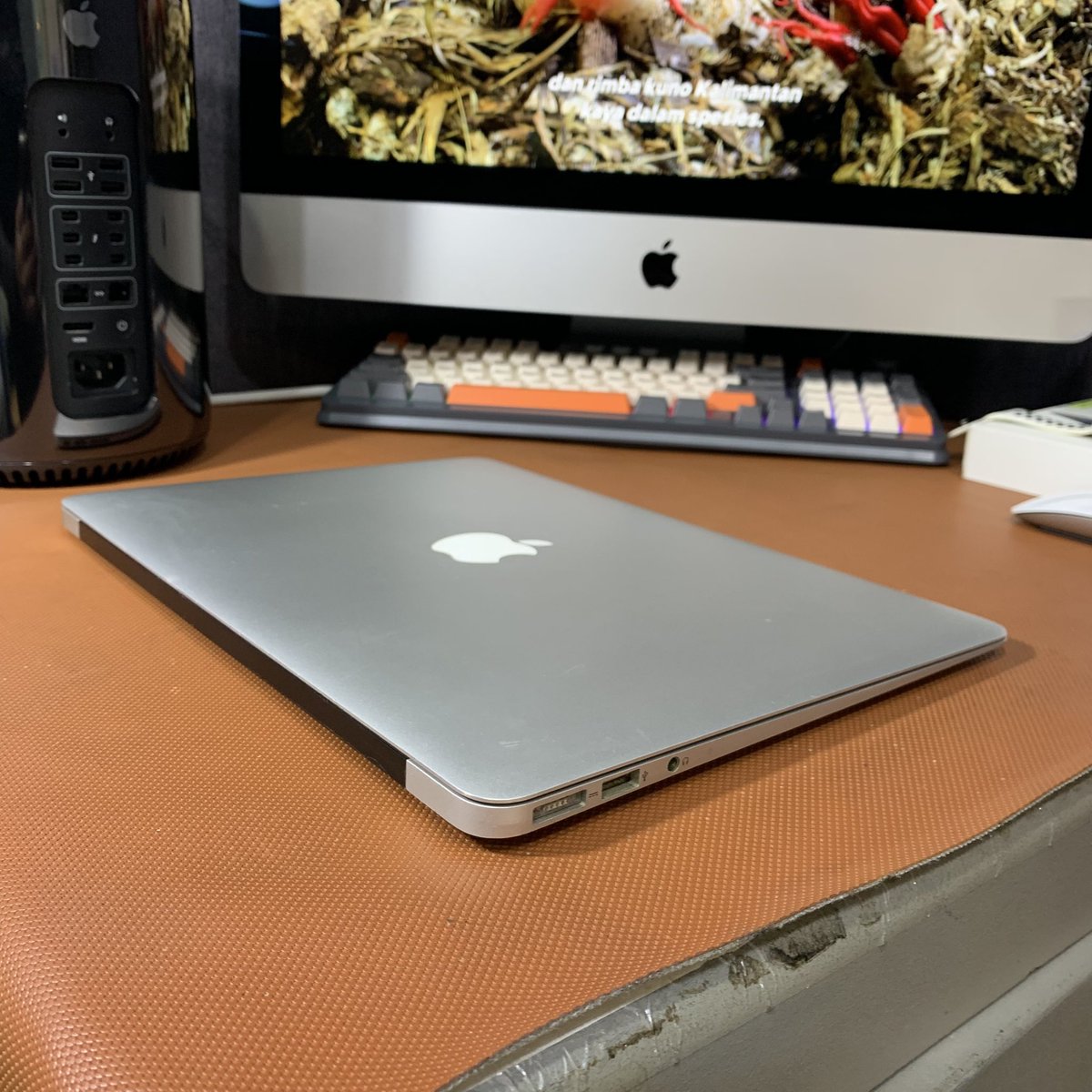 Apes Store ID tweet media