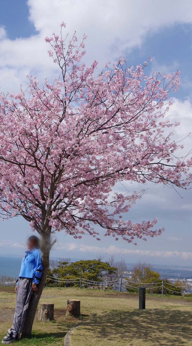 競馬好き拓也 tweet media