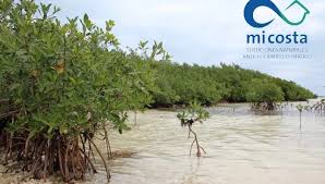 CTC Mayabeque tweet media