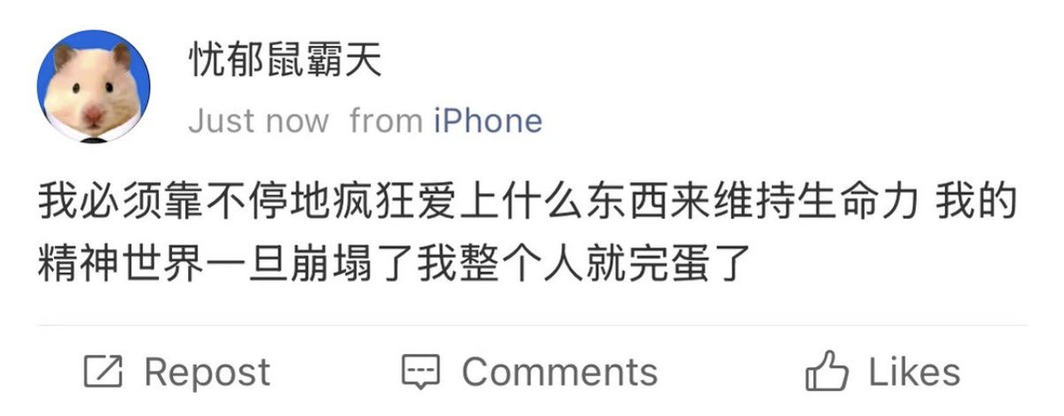 禿道道🐟 tweet media