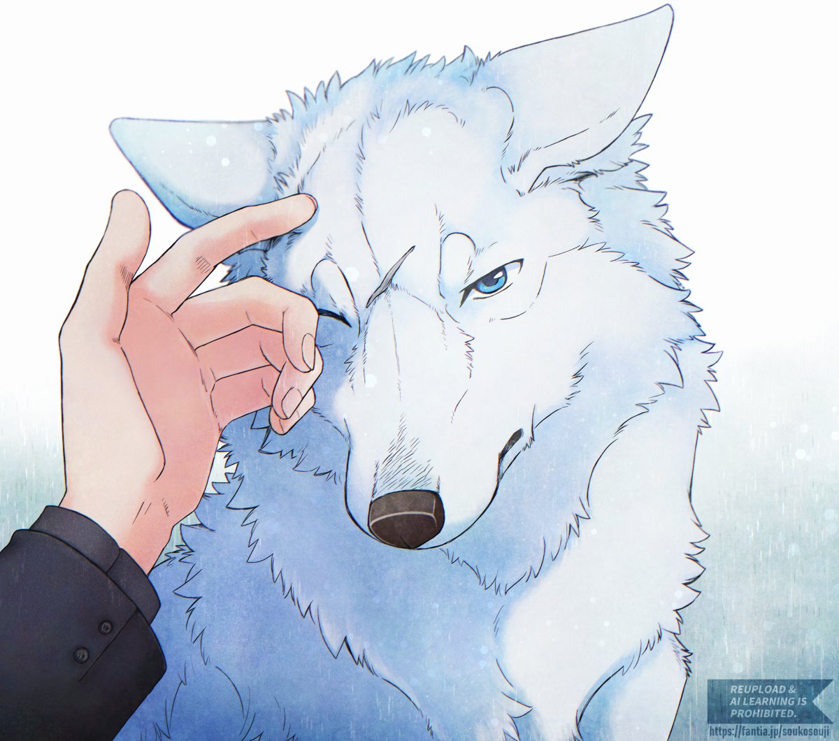 倉子倉次🩵🌿🐣🌿🩵 tweet media