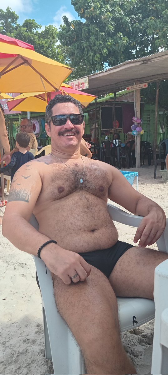 Um urso passando pela sua timeline