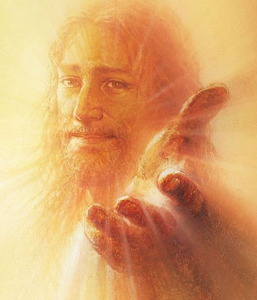 Abrace a Tradição tweet media