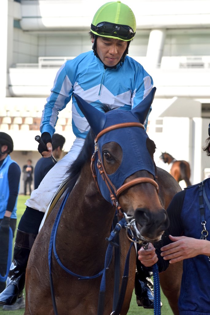 けーさん☆聖奈！ tweet media