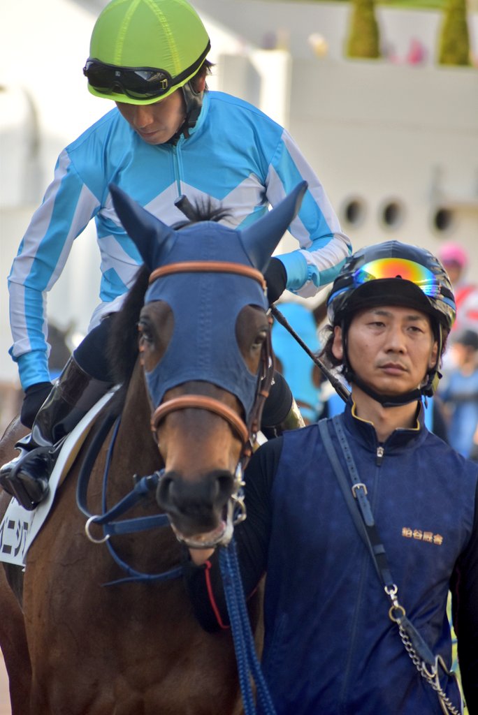 けーさん☆聖奈！ tweet media