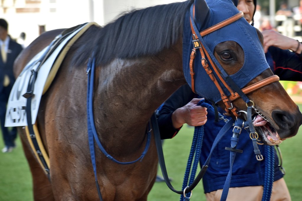 けーさん☆聖奈！ tweet media