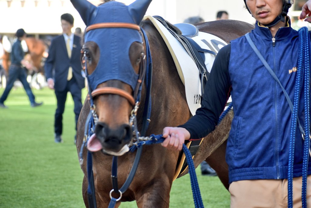 けーさん☆聖奈！ tweet media