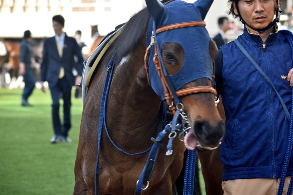 けーさん☆聖奈！ tweet media