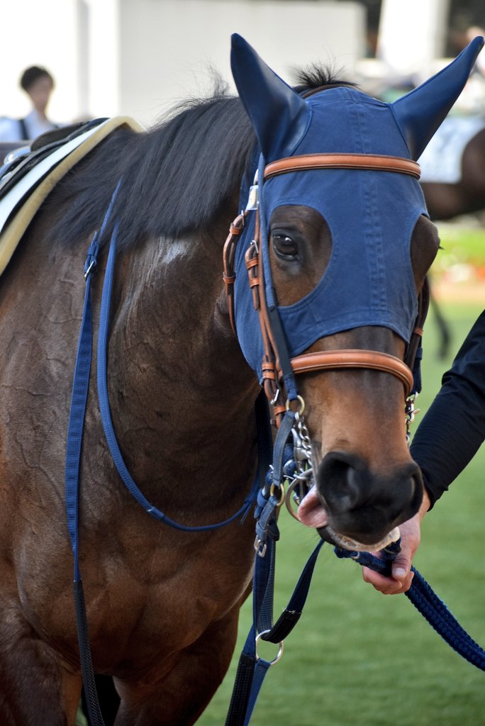 けーさん☆聖奈！ tweet media