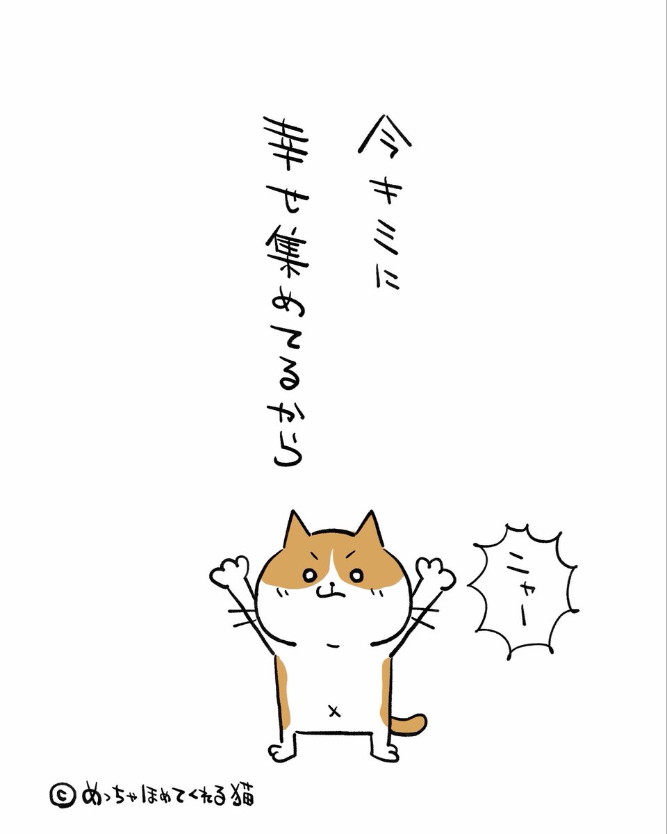 集まれ〜！！！
キミに届け〜！！！