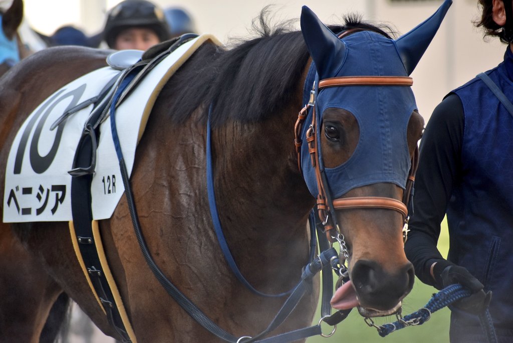 けーさん☆聖奈！ tweet media