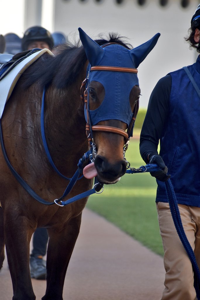 けーさん☆聖奈！ tweet media