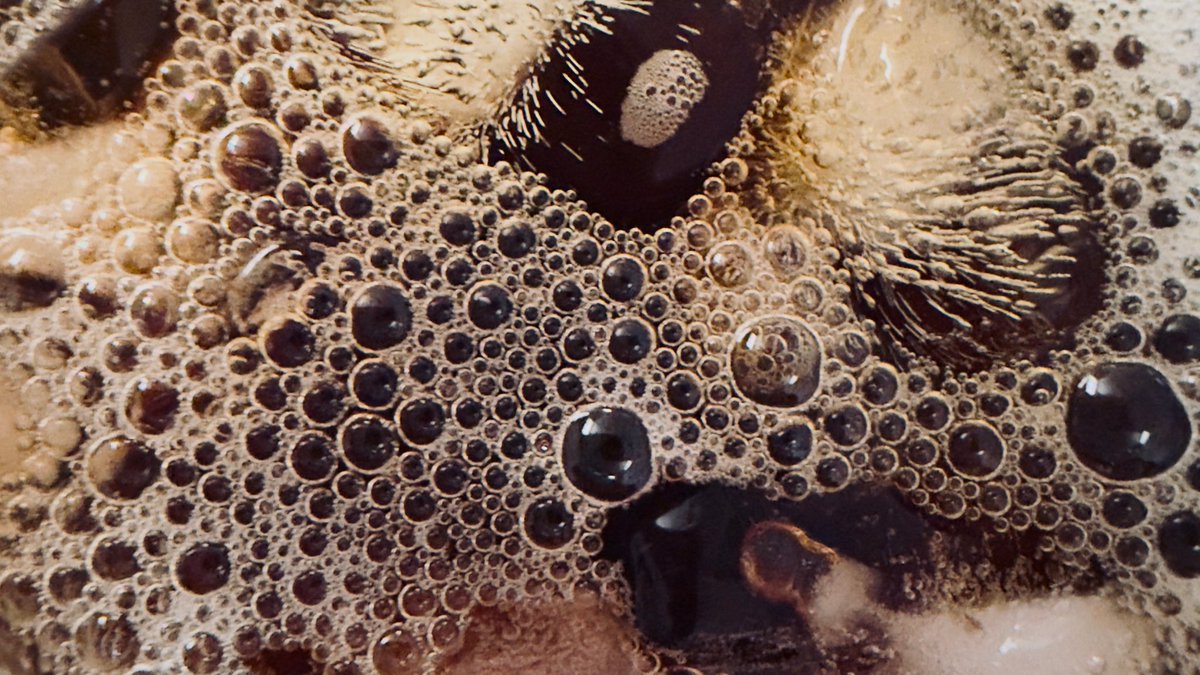 سُـولـٰا. tweet media