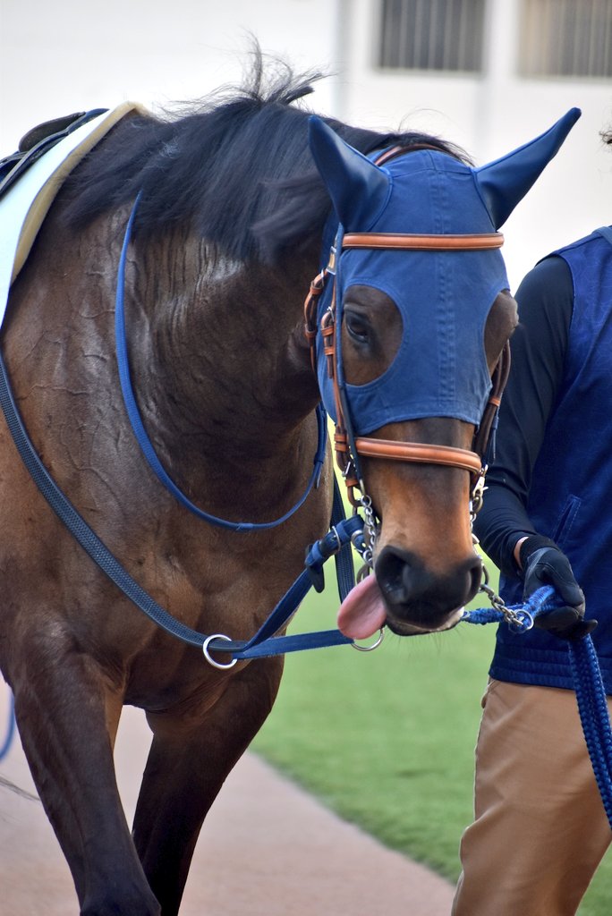 けーさん☆聖奈！ tweet media