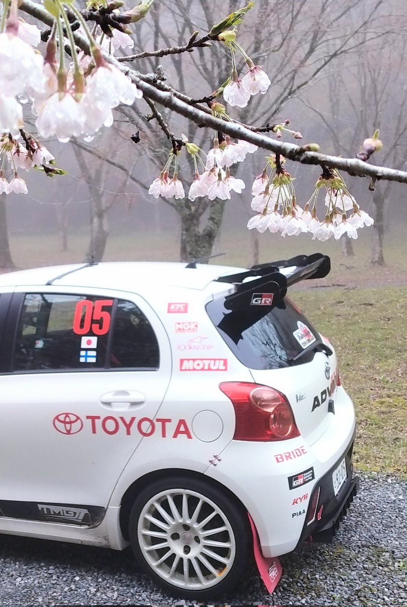 愛車と桜🌸
