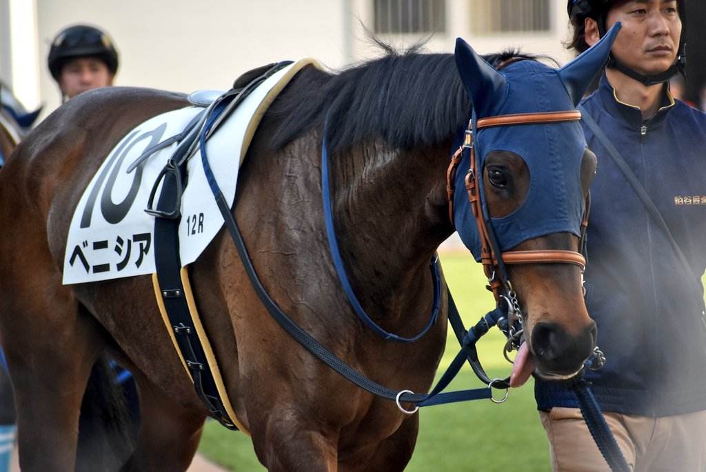 けーさん☆聖奈！ tweet media