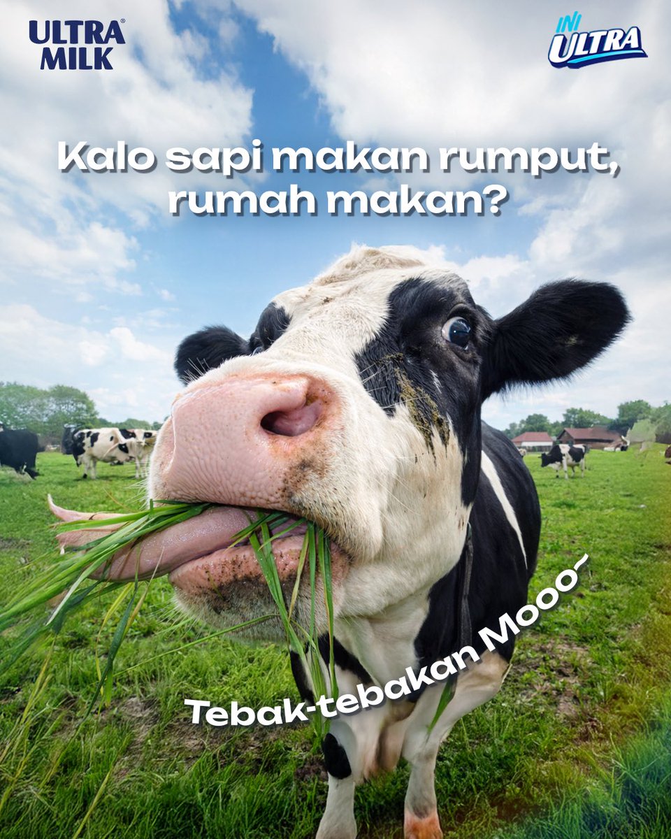 mymilk_id's tweet photo. Coba tebak jawabannya tapi jangan ngintip di slide kelima ya ges ya ๐ซตโบ๏ธ
Kasih tahu kamu berhasil nebak berapa yang benernyaaa!
#UltraMilk
#IniUltra https://t.co/DzOR04bhF5