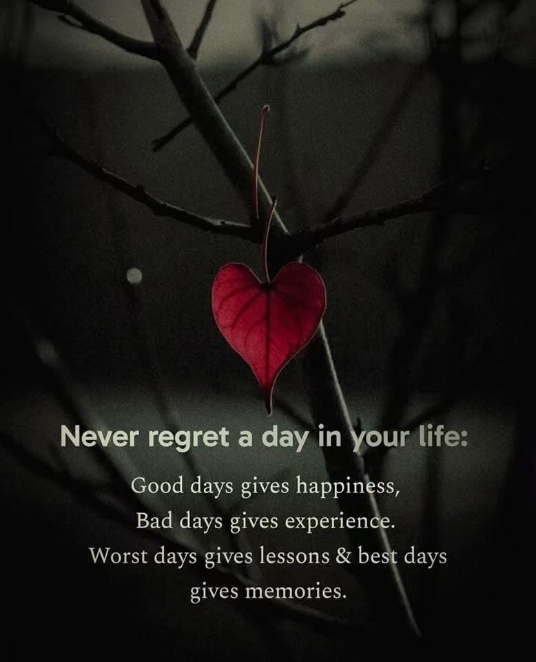 DD Young tweet media