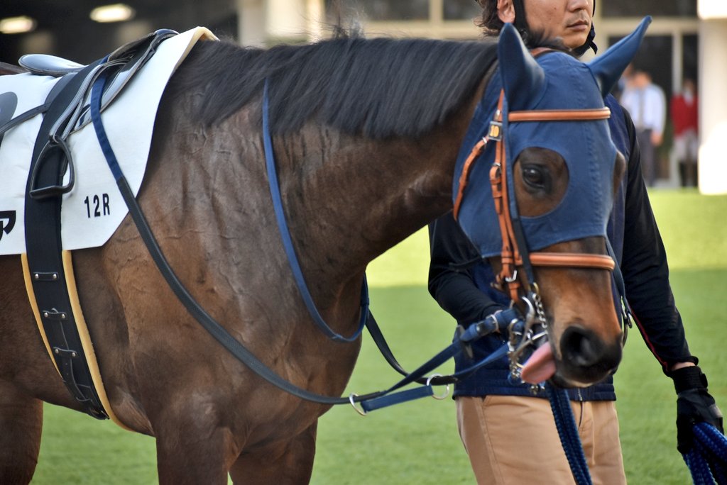 けーさん☆聖奈！ tweet media