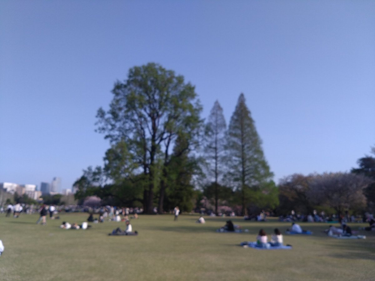 林田慎吾 tweet media