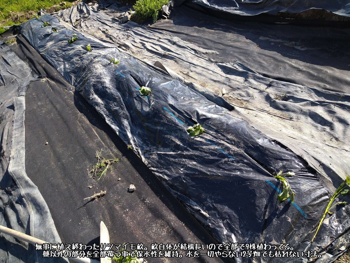 IkuS@FF14:雑煮処 tweet media