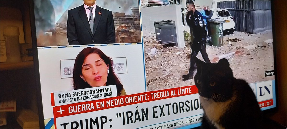 La periodista no es Irani , nació en Arabia Saudita.  Y vive en España.  
Cuando le preguntan ¿si volvería a su país? Investigan un poco del invitado? Mínimo lo básico. <a href="/LANACION/">LA NACION</a>