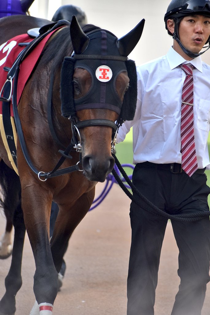 けーさん☆聖奈！ tweet media