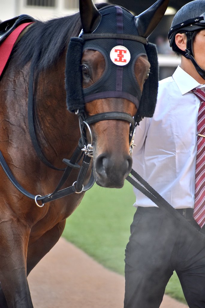 けーさん☆聖奈！ tweet media