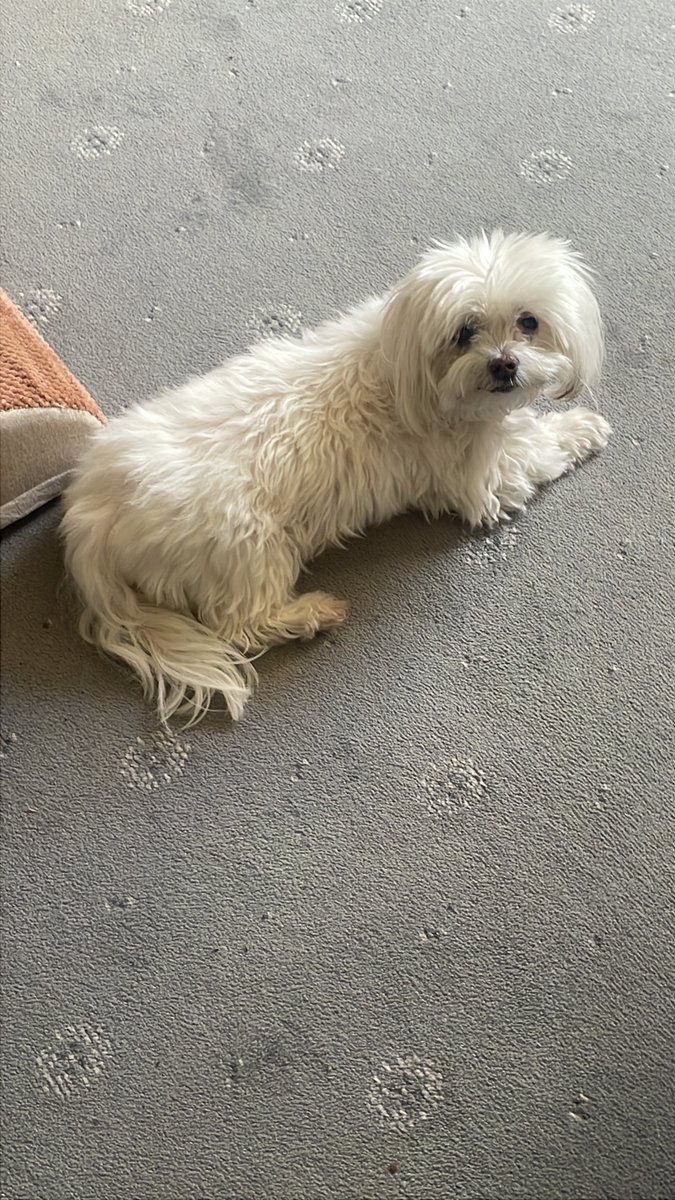 jac graham tweet media