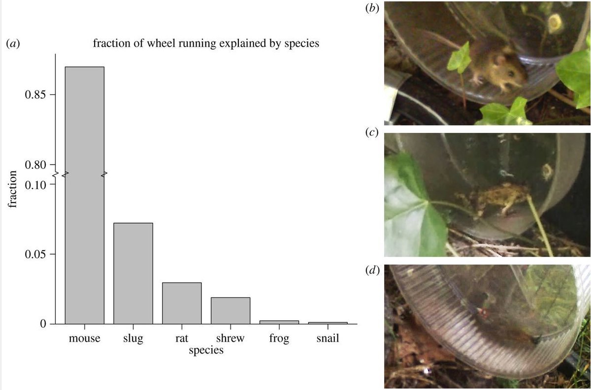 ナゾロジー@科学ニュースメディア tweet media